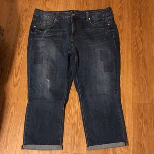 Melissa McCarthy Seven capris